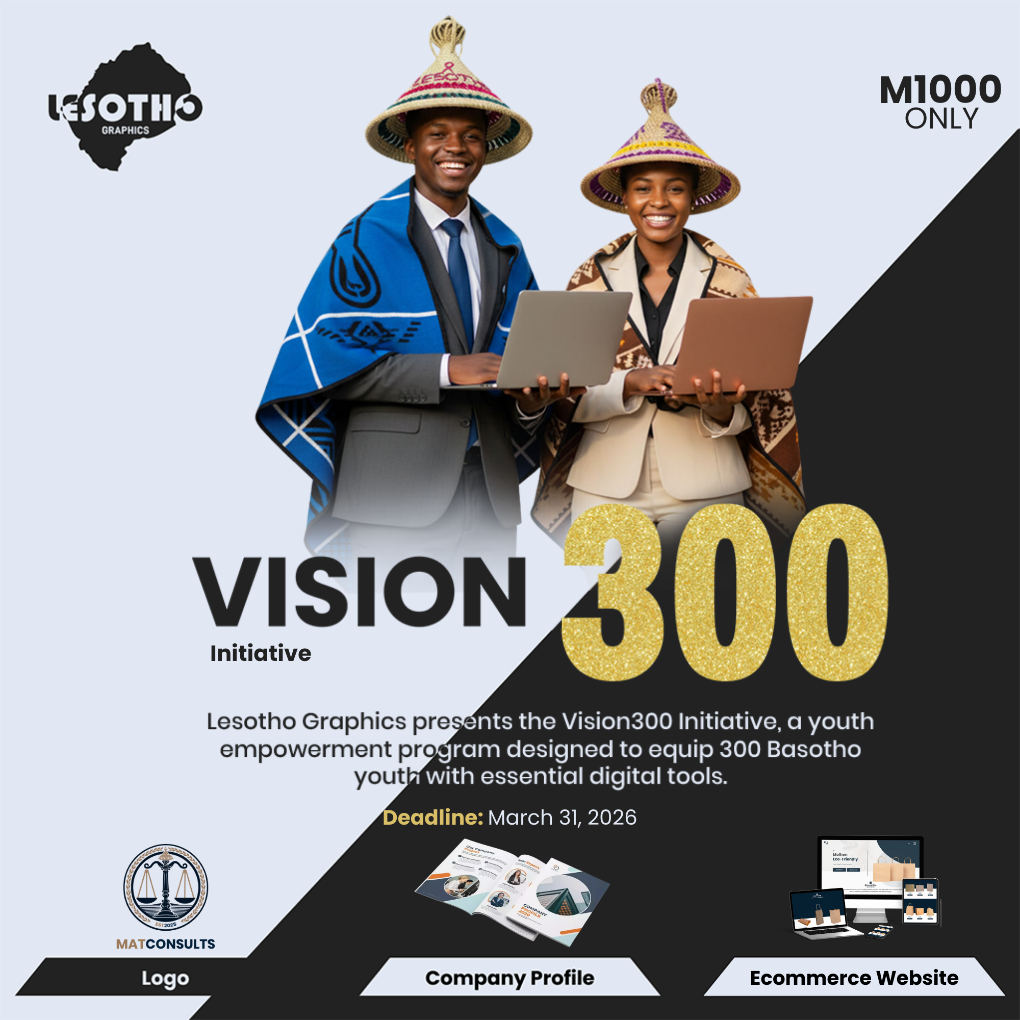 Vision 300 Flyer (2)